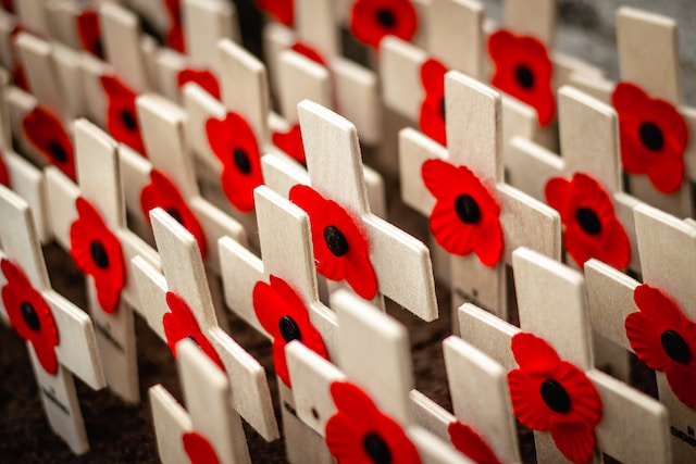 Poppy flower pins on crosses for Remembrance Day 